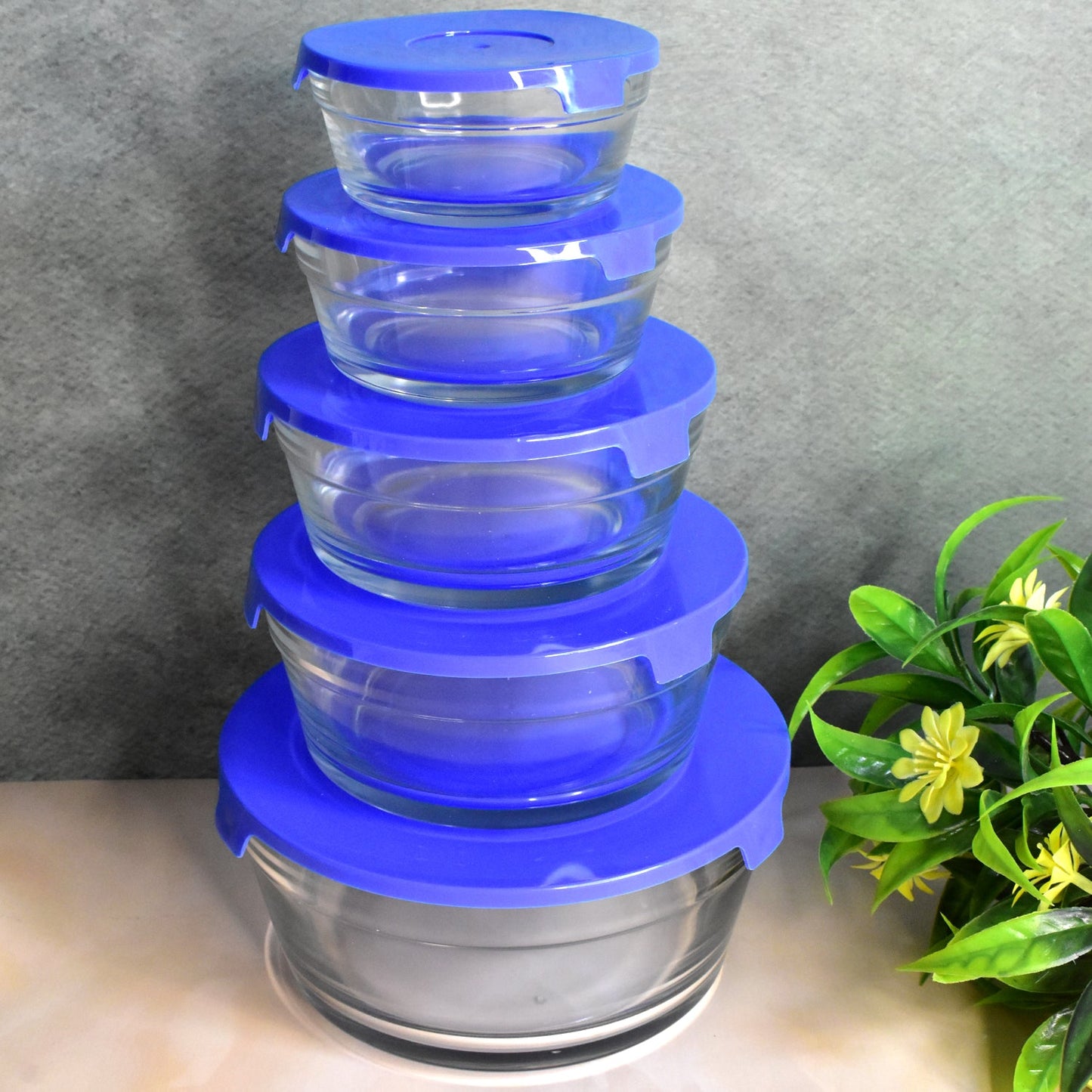 Modern Glass Bowl Set Mixing / Storage Bowls with Lids (5 Pcs Set)