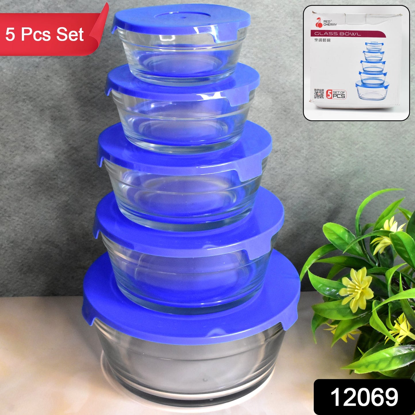 Modern Glass Bowl Set Mixing / Storage Bowls with Lids (5 Pcs Set)