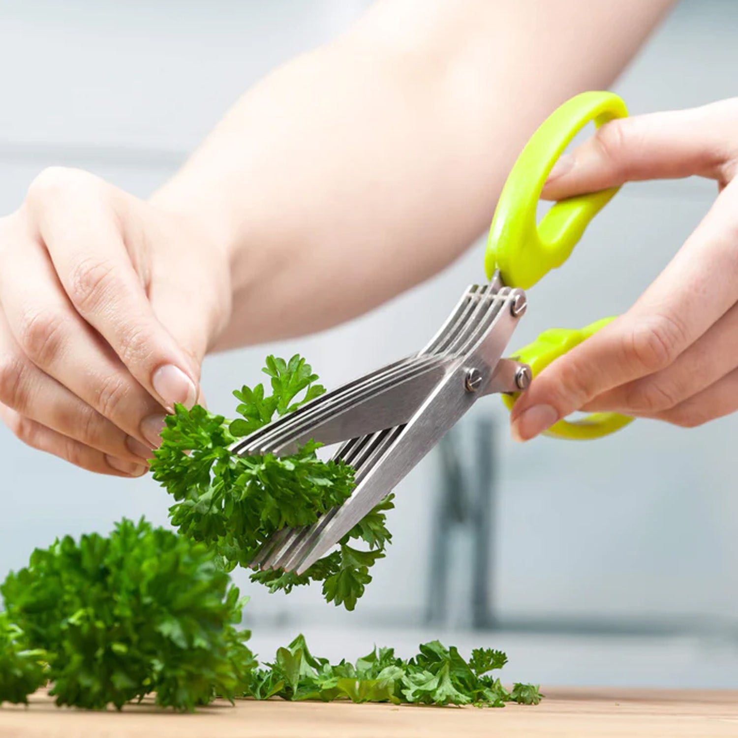 Kitchen herb scissor with stainless steel blades for versatile use