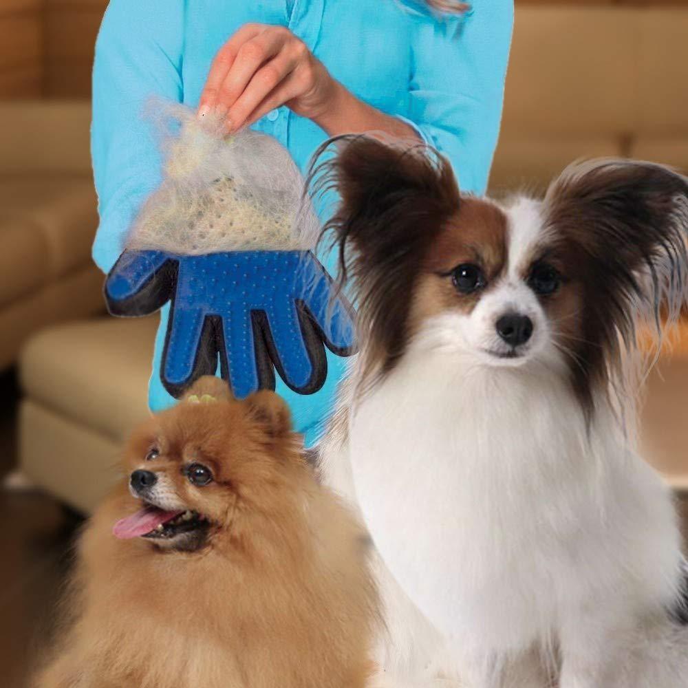 5-finger glove for removing pet hair.