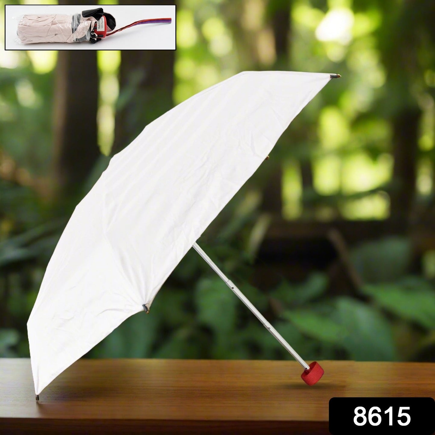 Foldable Umbrella